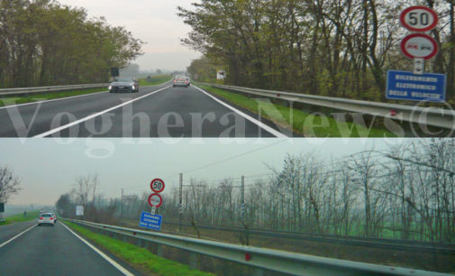 PAVIA VOGHERA 26/07/2013: Tagliati molti dei (già pochi) alberi selvatici presenti lungo le strade della provincia di Pavia. Le leggi non li tutelano. Per salvarli servirebbero nuove normative