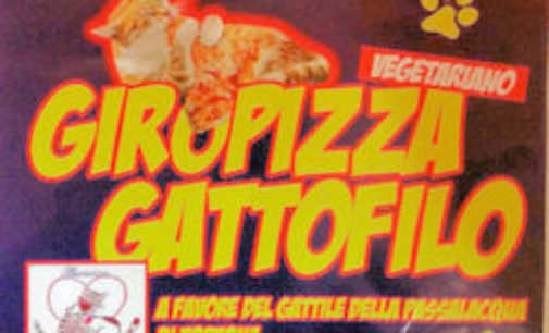 VOGHERA 20/10/2014: Venerdì una pizza vegetariana per aiutare i gatti di Tortona