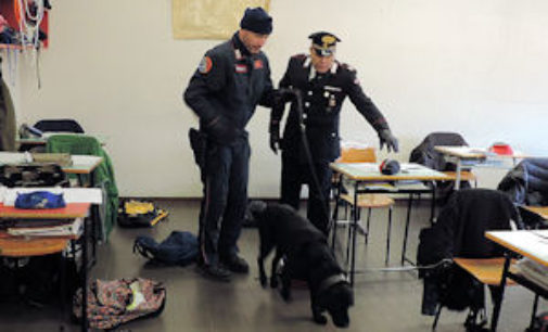 MORTARA 20/11/2014: Blitz a scuola con Balto, il cane antidroga. Una denuncia e 3 segnalazioni