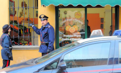 GARLASCO 04/12/2014: Furti. Furti. Furti. Ondata di furti in città. Rubati anche 2 cani (l’incubo dei combattimenti)