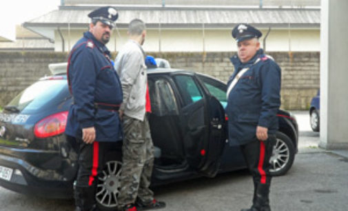 VIGEVANO 31/12/2014: Ladri acrobati presi da carabiniere acrobata. Rubavano le bottiglie per il cenone di fine anno