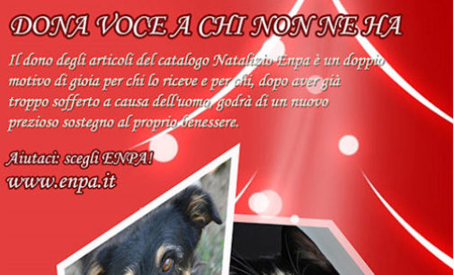 LA VITA E’ PIENA DI BUONE OCCASIONI PER AIUTARE GLI ANIMALI: ANCHE A NATALE!