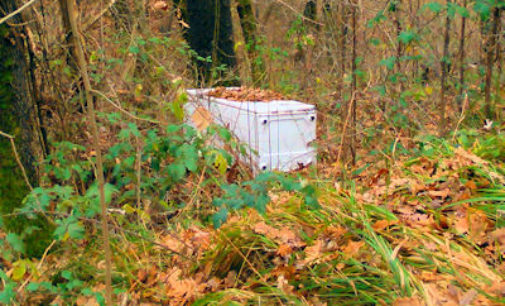 FORTUNAGO 23/12/2014: Incivili lordano la natura lungo la Sp138. La segnalazione di un lettore