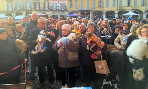 VOGHERA 19/01/2015: Sempre di più gli amanti degli animali. Quasi 1000 persone in piazza Duomo per la Benedizione