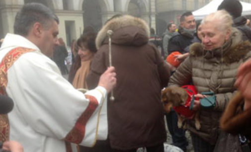 VOGHERA 16/01/2015: Domenica la benedizione degli animali