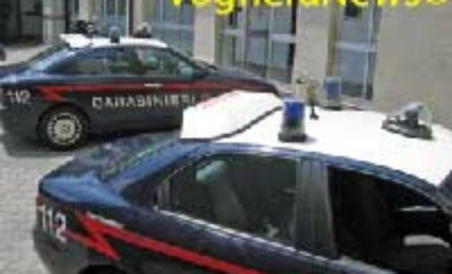 BRONI 26/02/2015: Carabinieri arrestano pregiudicato. Deve scontare 10mesi