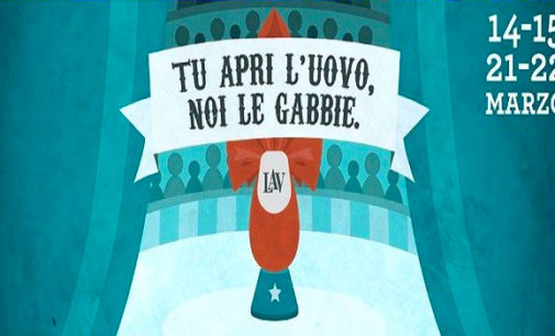 PAVIA VOGHERA CASTEGGIO 13/03/2015: Sabato e Domenica anche in provincia la campagna Lav contro i soldi pubblici ai Circhi con animali. Firma la Petizione nelle piazze e compra l’”Uovo di Pasqua Lav”