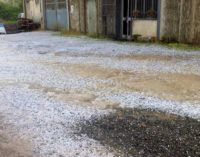 VOGHERA 21/05/2015: Bomba d’acqua e grandinate nell’Oltrepo vogherese. Coldiretti mobilita i tecnici per verificare i danni