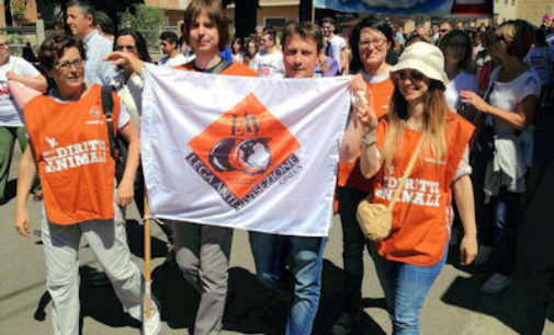 VOGHERA 26/05/2015: Elezioni&Animali. Ecco i programmi dei 7 candidati e il giudizio della Lav