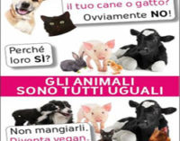 PAVIA 08/07/2015: Bambino di famiglia “vegana” ricoverato per denutrizione. Le considerazioni di una Dietologa oltrepadana