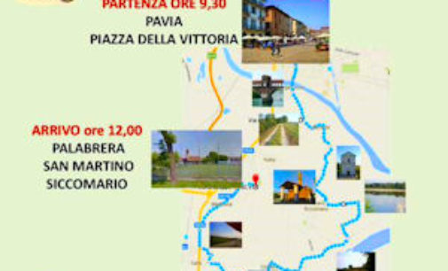 PAVIA SAN MARTINO 16/09/2015: Domenica la 1° Pedalata contro l’Ictus. La organizzano Rotary e Stop Ictus Pavia