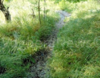 VOGHERA RIVANAZZANO 14/09/2015: Una pista da cross nella fascia protetta dello Staffora. Le moto abusivamente invadono sia la parte boscata che il greto e persino l’acqua del prezioso torrente