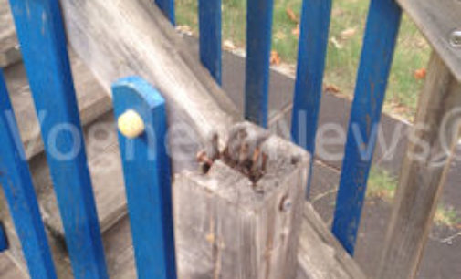 RETORBIDO 08/09/2015: Il parco giochi è degradato e malfrequentato. Un residente chiede di intervenire
