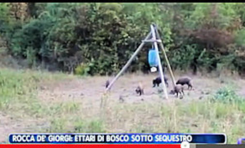 ROCCA DE’ GIORGI 02/09/2015: Maxi area “trappola” per animali scoperta dalla Polizia Provinciale. Una volta dentro gli animali sarebbero stati facilmente uccisi dai cacciatori