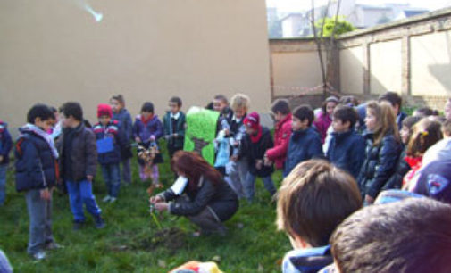 VOGHERA 18/11/2015: Anche in città la Festa dell’Albero. Nuovi alberi saranno piantati in tutte le scuole