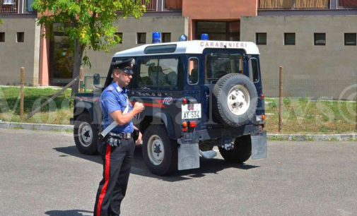 VARZI 27/12/2015: Ladre di elemosina seriali scoperte e denunciate dai carabinieri