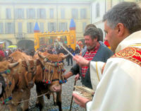 VOGHERA 14/01/2016: Domenica in piazza Duomo c’è la benedizione degli animali e del fuoco