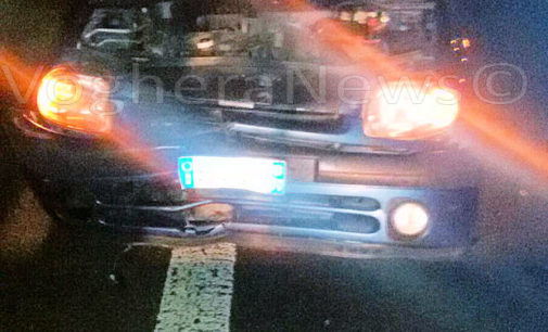 CASTEGGIO 10/01/2016: Auto centra cinghiale che attraversa la strada. Paura ieri sera sulla Tangenziale