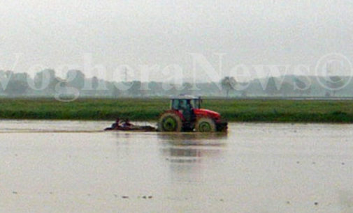 PAVIA 19/04/2023: Siccità. E’ già guerra dell’acqua fra Lombardia e Piemonte. Confagricoltura Pavia: “I territori lombardi e piemontesi con utenti uguali meritano pari trattamento”