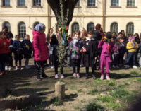 VOGHERA 24/03/2016: Scuola. Alla Dante celebrata la Settimana della Pace e dell’Amicizia tra i Popoli