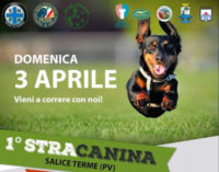 SALICE TERME 15/03/2016: Domenica nel parco la “Stracanina” corsa a 6 zampe (umani e cani corrono insieme)