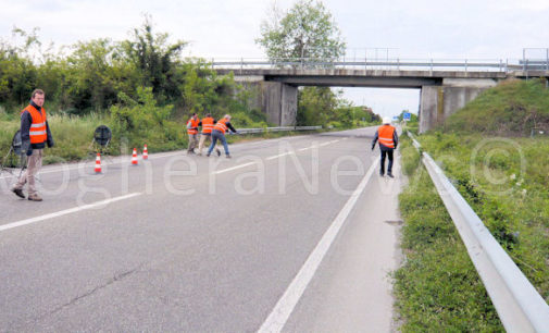 VOGHERA 28/04/2016: Follia dei ladri di rame. Tagliano i cavi del palo vicino all’autostrada rischiando di far cadere quelli vicini sul traffico. (VIDEO) Intervento d’urgenza questa mattina per eliminare la campata pericolante