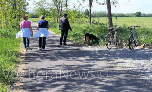 VOGHERA 25/04/2016: Allarme Lav. Presunte esche killer segnalate lungo la Greenway. Allarme anche nei pressi della Stazione iriense