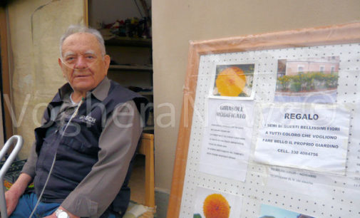 VOGHERA 11/04/2016: E’ Primavera. Guido Schiavo, il pensionato dal pollice verde, è tornato a curare le aiuole pubbliche e a regalare i semi. Ma quest’anno… occhio, c’è anche la telecamera contro i furti (di rose)