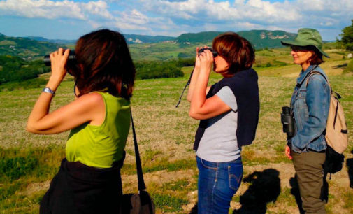 FORTUNAGO 11/05/2016: Domenica escursione ornitologica a Costa Pelata. La organizza la Lipu Pavia