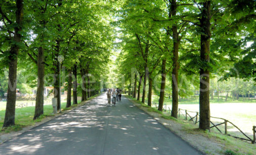 SALICE TERME 30/05/2016: Sabato nella località termale sarà Notte… Verde. Obiettivo salvare il parco