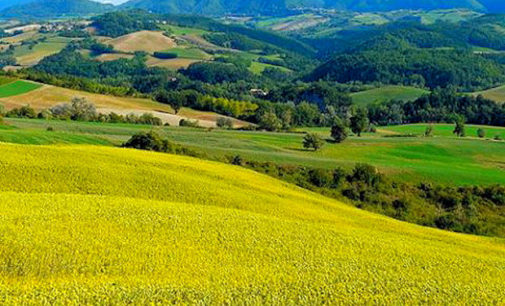 BRONI 24/06/2016: L’Oltrepò vitivinivcolo patrimonio dell’Unesco. Oggi il lancio della procedura per la candidatura