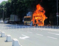 VOGHERA 06/06/2016: (FOTO VIDEO) Autobus in fiamme in viale Martiri. Mezzo distrutto insieme a un albero. Grande lavoro dei pompieri che pur impegnati in altro intervento sono accorsi evitando il peggio