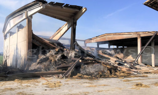 VOGHERA 16/06/2016: Odore di fumo in città. Non è un nuovo incendio ma ancora la coda di quello di venerdì scorso