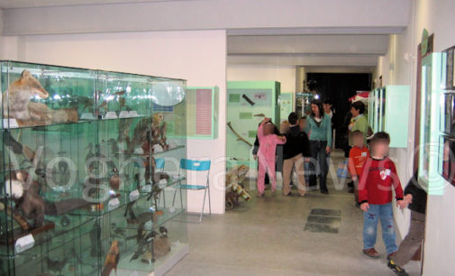 VOGHERA 21/06/2016: Un Murales fatto dai bambini abbellirà l’ingresso del Museo di Scienze naturali