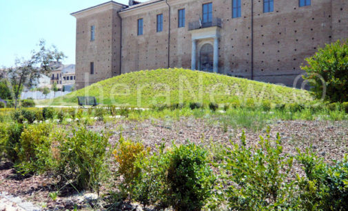 VOGHERA 27/06/2016: Addio al “Giardino Medievale” di piazza Castello. Il Comune si arrende ai ladri di “aromi” e non ripianta più Salvia e Rosmarino