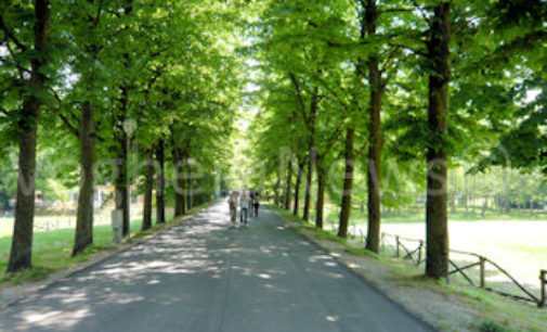 SALICE TERME 21/07/2016: Uomo ferito alla testa. I carabinieri indagano su una presunta aggressione all’interno del parco