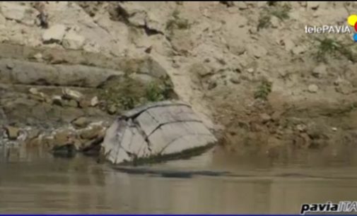 MEZZANINO 14/09/2016: La siccità provoca disagi e danni ai fiumi e all’agricoltura. A volte però riserva anche delle sorprese. Come quell’affascinante relitto affiorato a sud del Ponte della Becca