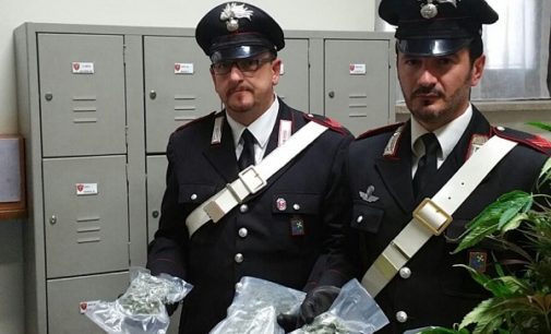 RETORBIDO 19/10/2016: Carabinieri arrestano vogherese per produzione di stupefacenti. Un arresto per droga anche a Corteolona