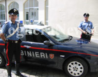 VOGHERA 05/10/2016: Ennesimo furto al Centro Multiraccolta dell’Asm. I carabinieri lo sventano e fermano una persona