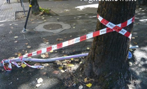 VOGHERA 12/10/2016: Auto impazzita. Una Yaris velocissima sbanda, evita un frontale poi si schianta nel viale pedonale. Un miracolo che nessuno si sia fatto male. Fuggiti gli occupanti