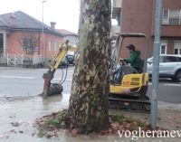 VOGHERA 24/11/2016: Acquedotto si rompe in via Amendola. Intervento urgente dei tecnici