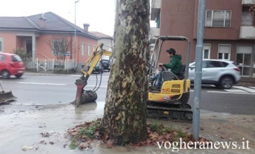 VOGHERA 24/11/2016: Acquedotto si rompe in via Amendola. Intervento urgente dei tecnici