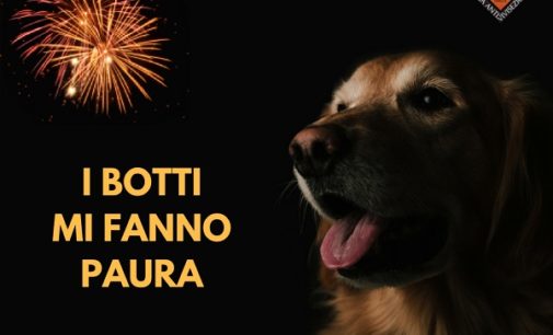 VOGHERA 28/12/2016: “A Capodanno usiamo il buonsenso, non i petardi”. Appello Lav a Comuni e a cittadini di tutta la provincia