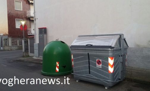 VOGHERA 28/12/2016: Gatto gettato nel cassonetto. Lo salva la polizia locale. Chi lo riconosce?