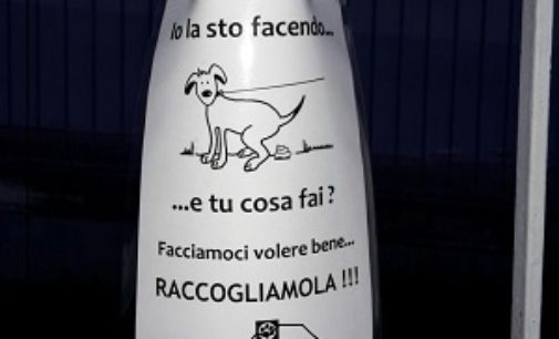 VOGHERA 17/12/2016: Sporcano con i cani… e se li riprendi ti minacciano pure. L’indignazione di una lettrice