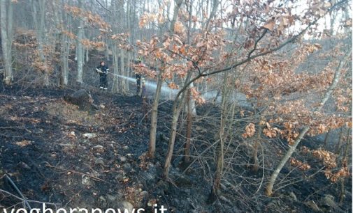 BRALLO 08/01/2017: Incendio di bosco nel pomeriggio. In azione pompieri e squadre della Comunità Montana. E’ il 4° rogo nella zona nel giro di 2 anni