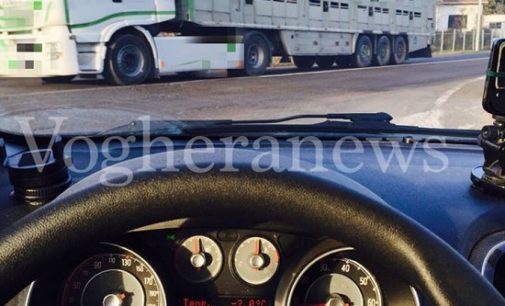 PAVIA BRESSANA VOGHERA 18/1/2017: Animali trasportati su camion semi aperti con temperature sotto lo zero. La piaga anche nella nostra provincia. Intanto domenica c’è la benedizione degli animali…