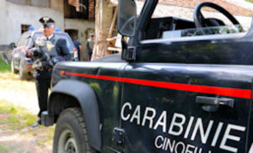 PAVIA 20/02/2017: Carabinieri di Milano sgominano banda dedita allo spaccio nelle campagne. Arresti anche nel pavese