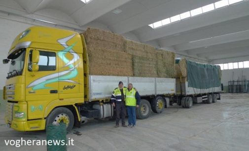 VOGHERA 11/02/2017: Animali e stalle terremotate. Arrivato a destinazione in Abruzzo il primo carico di fieno organizzato da una veterinaria di Voghera