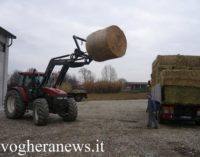 VOGHERA 14/03/2017: Aiuti ad animali e agricoltori terremotati. Partono altri 2 camion. La veterinaria Bonino ringrazia tutti. Ma non è finita. La ricostruzione lenta potrebbe rendere necessario l’invio di aiuti anche nel prossimo inverno